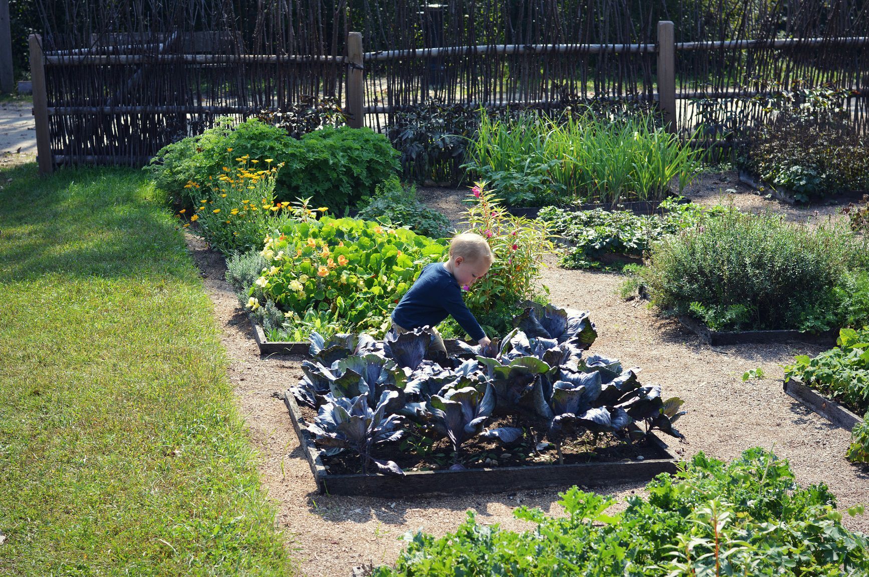 Master Gardeners: Save water with French intensive gardening